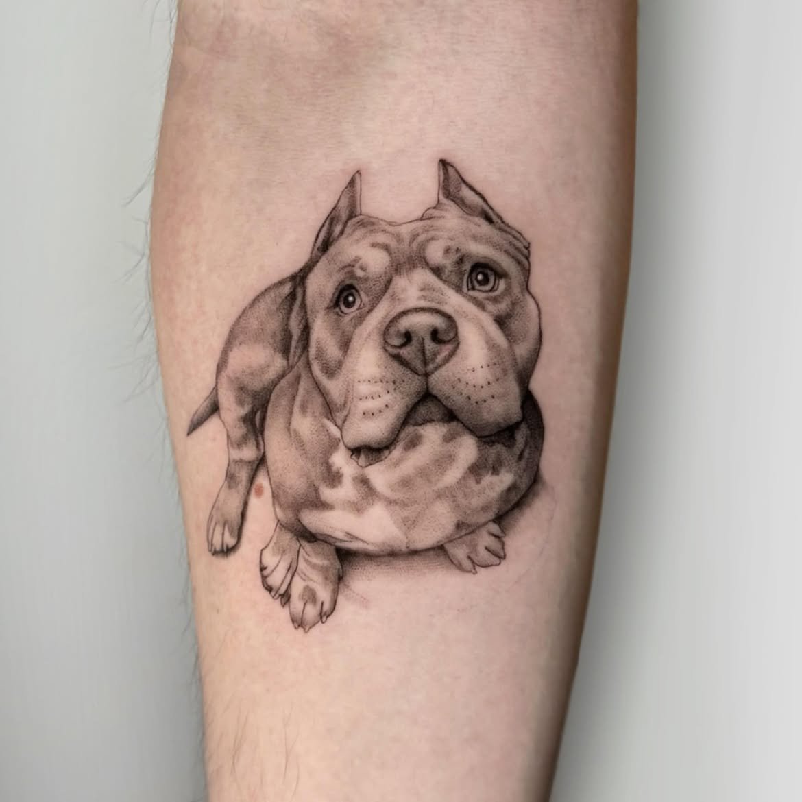 Tatuaje de mascota en Barcelona - Circa Tattoo BCN