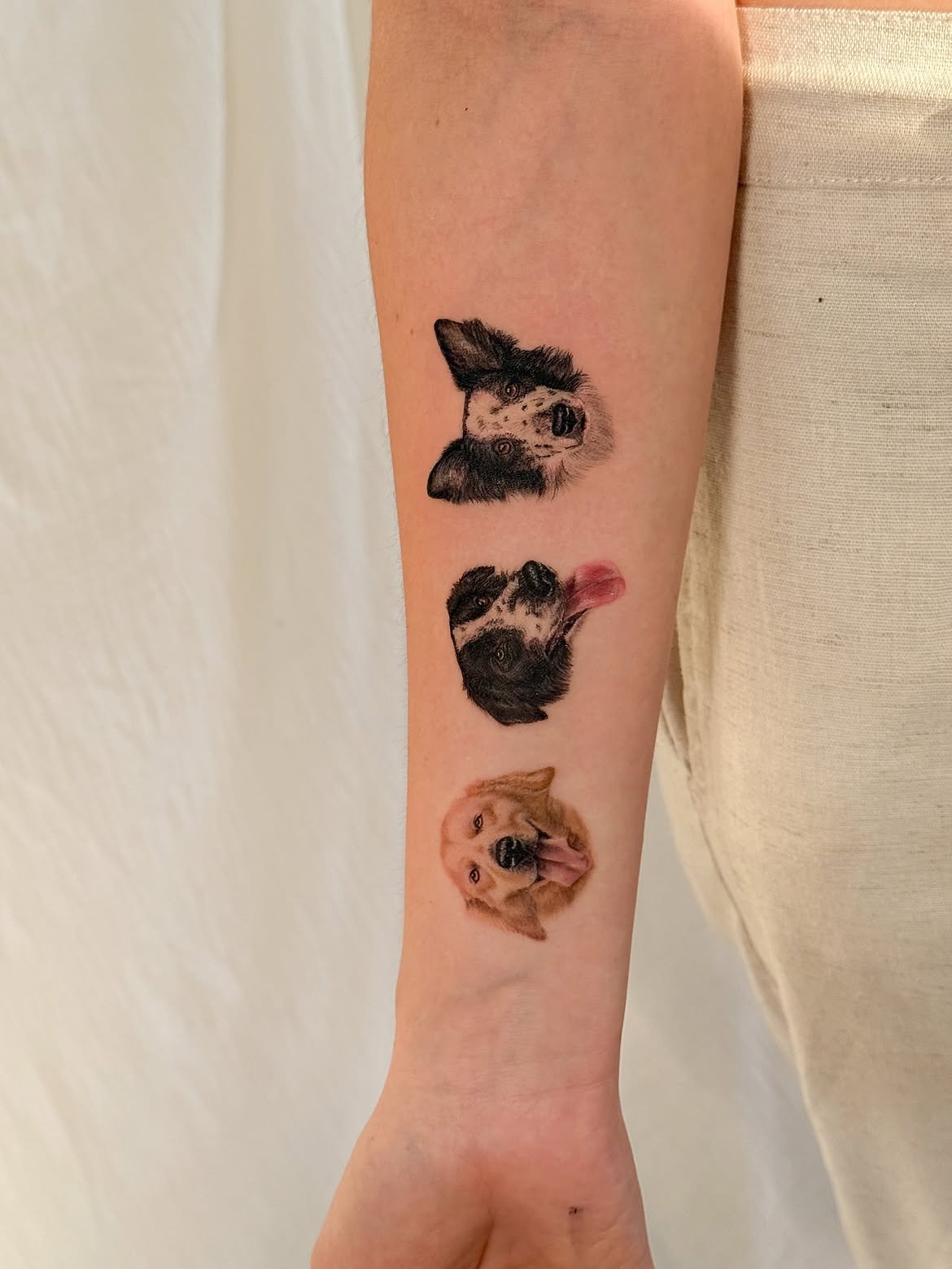 Tatuaje de mascota en Barcelona - Circa Tattoo BCN