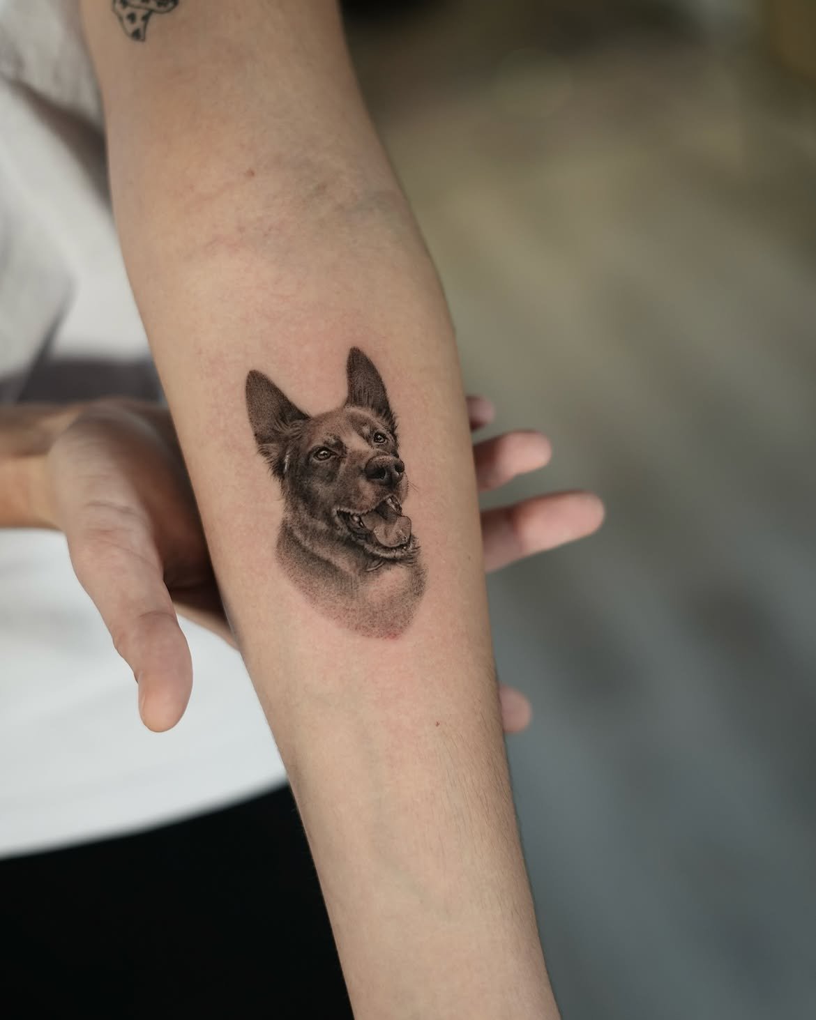 Tatuaje de mascota en Barcelona - Circa Tattoo BCN