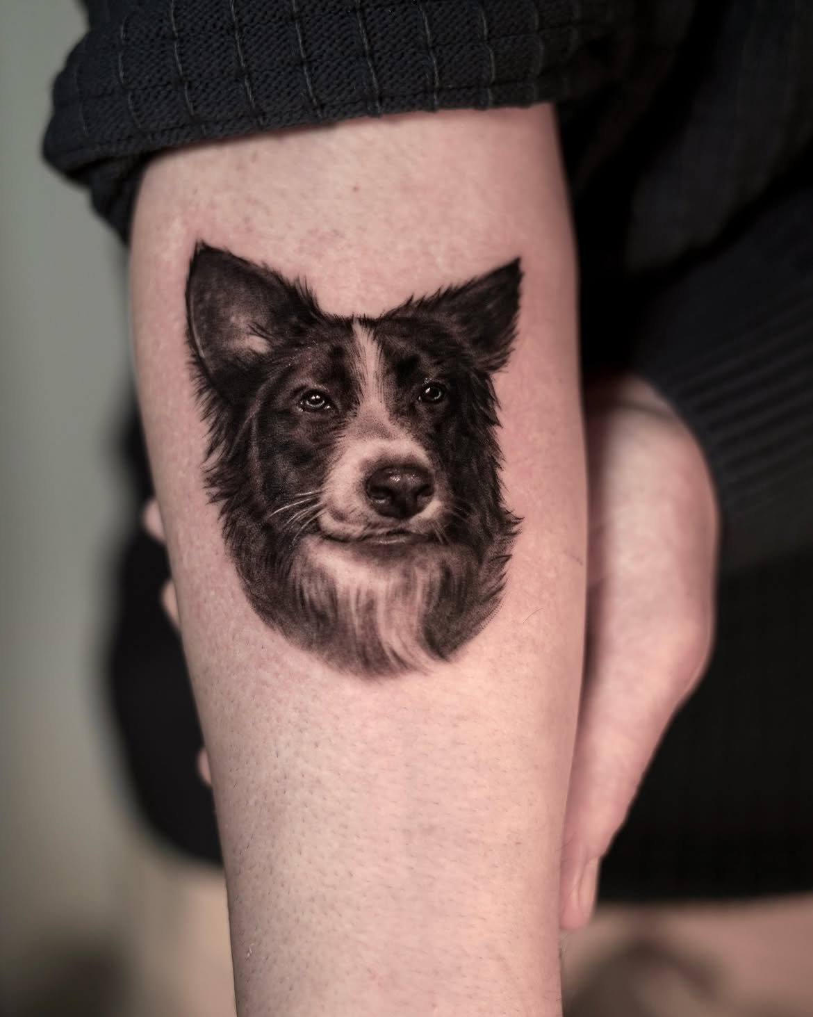 Tatuaje de mascota en Barcelona - Circa Tattoo BCN