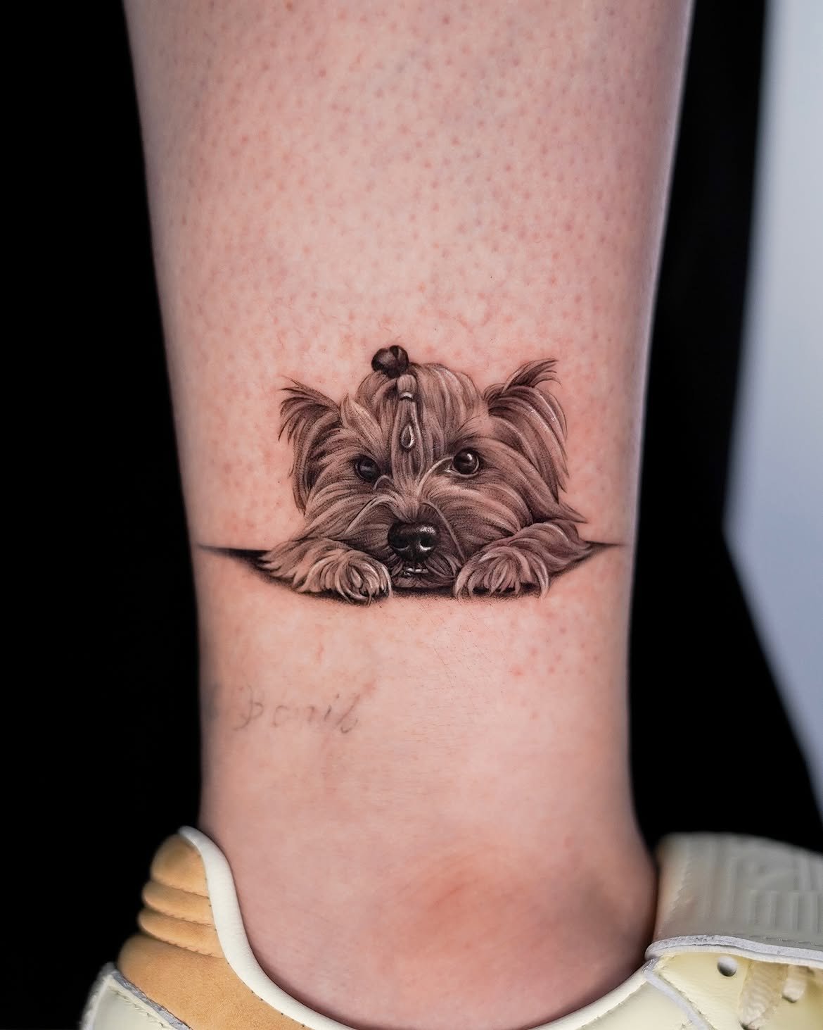 Tatuaje de mascota en Barcelona - Circa Tattoo BCN