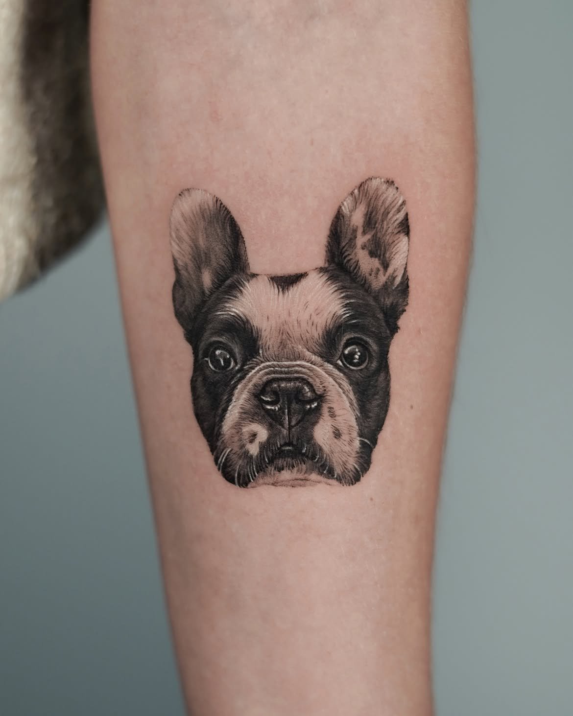 Tatuaje de mascota en Barcelona - Circa Tattoo BCN