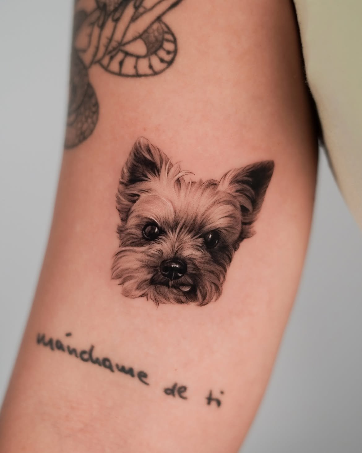 Tatuaje de mascota en Barcelona - Circa Tattoo BCN