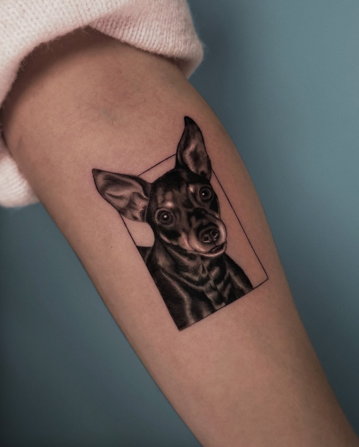 Tatuaje de mascota en Barcelona - Circa Tattoo BCN